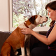 Ned the dog and Allison Tolman star in Downward Dog (Photo: Craig Sjodin/ABC)